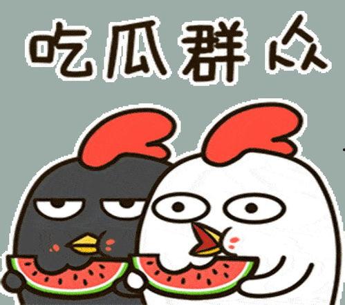 娱乐吃瓜小兔兔微博