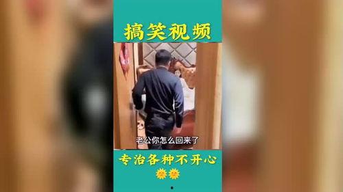 看搞笑视频的网站,欢乐无限