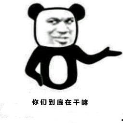 火箭送你上天表情包,火箭送我上天的奇幻之旅